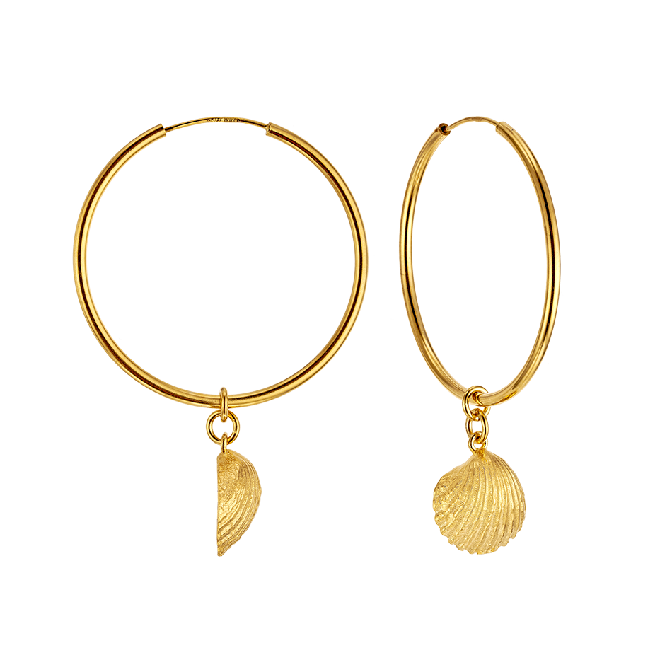 Seashell shop hoop earrings